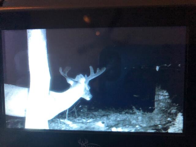 0 West Miller Road Shepherd, MI 48883 - Photo 19 of 21 trailcam2