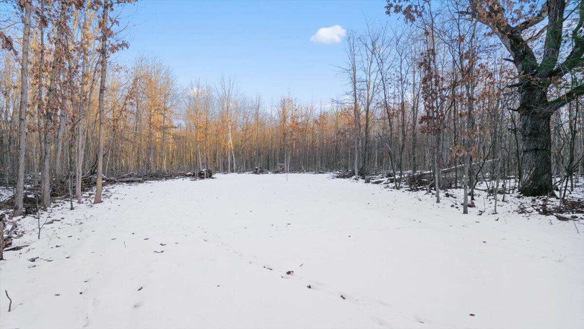0 West Miller Road Shepherd, MI 48883 - Photo 7 of 21 19-Media Jett - 17