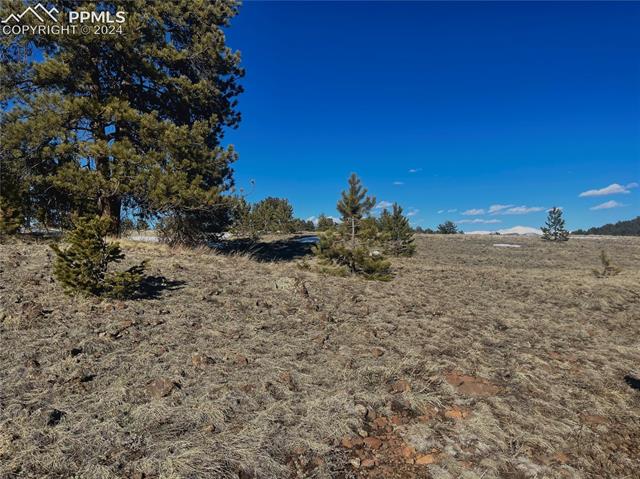 1091 Julia Road Guffey, CO 80820 - Photo 3 of 4 View of yard with a rural view