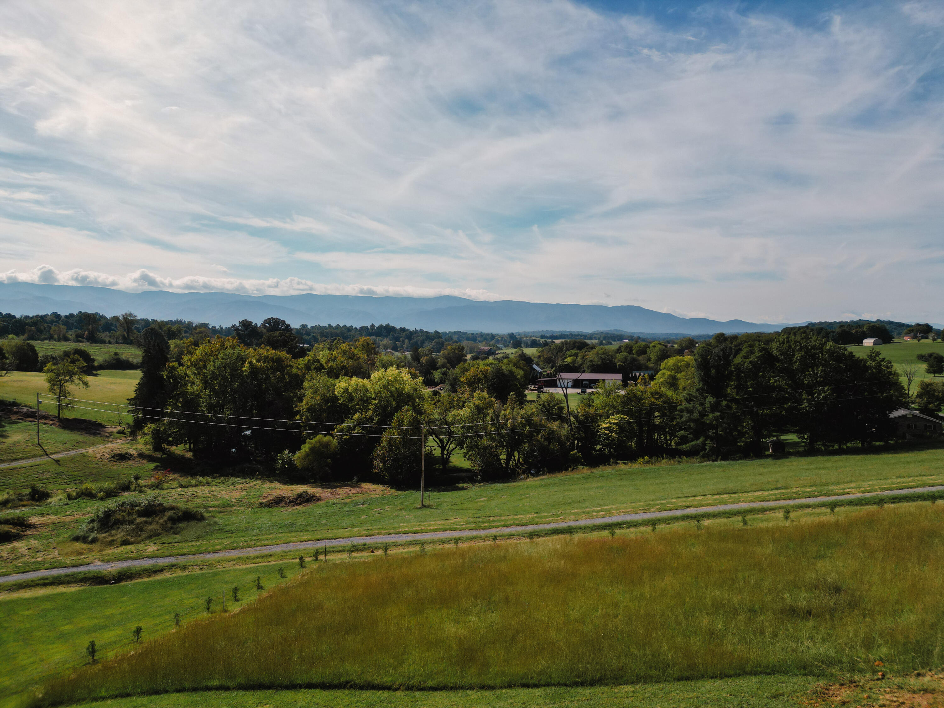 245 Browns Bridge Road Greeneville, TN 37745 - Photo 1 of 20 DanielleRickerPhotography-0313