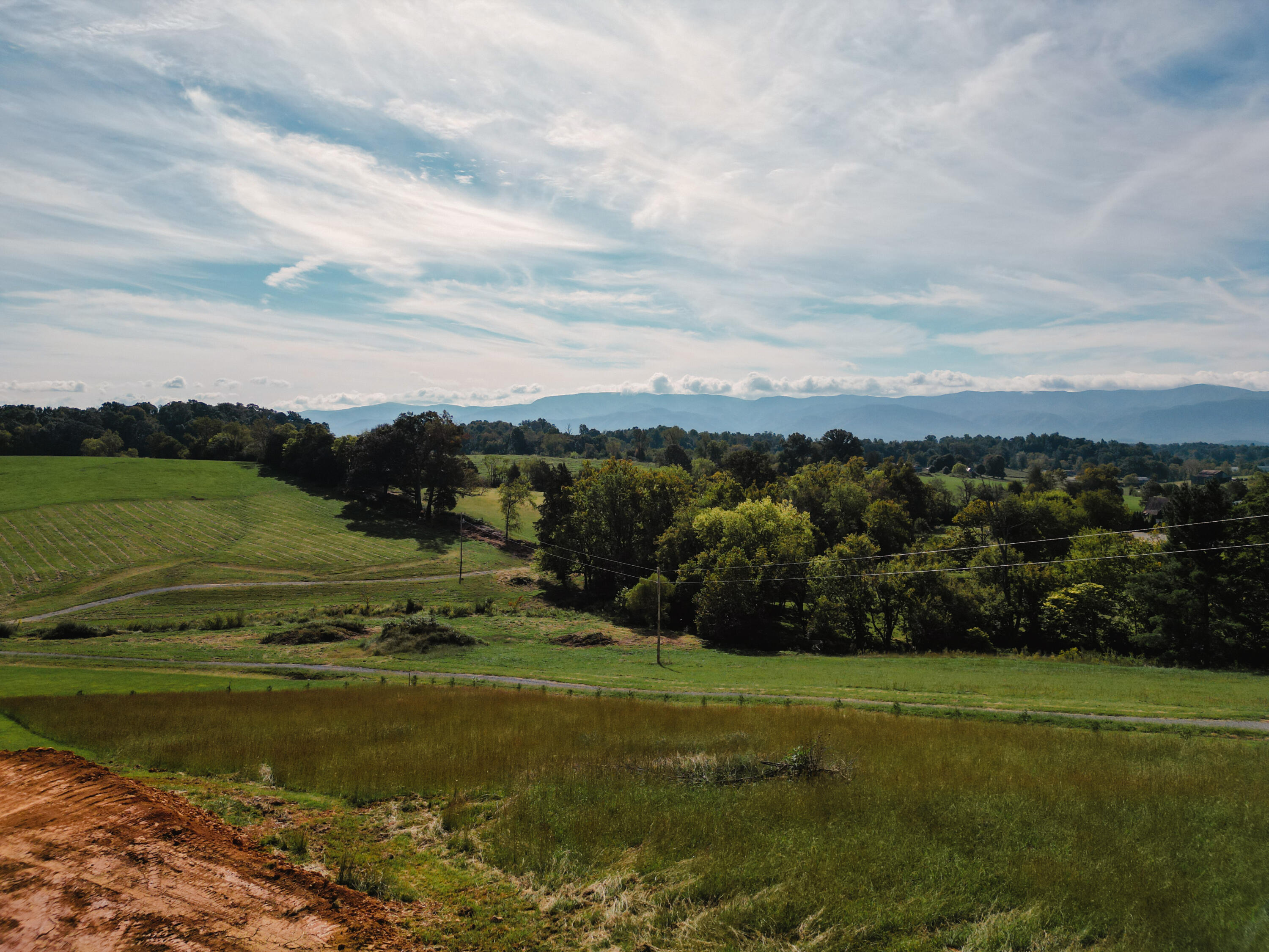 245 Browns Bridge Road Greeneville, TN 37745 - Photo 16 of 20 DanielleRickerPhotography-0315