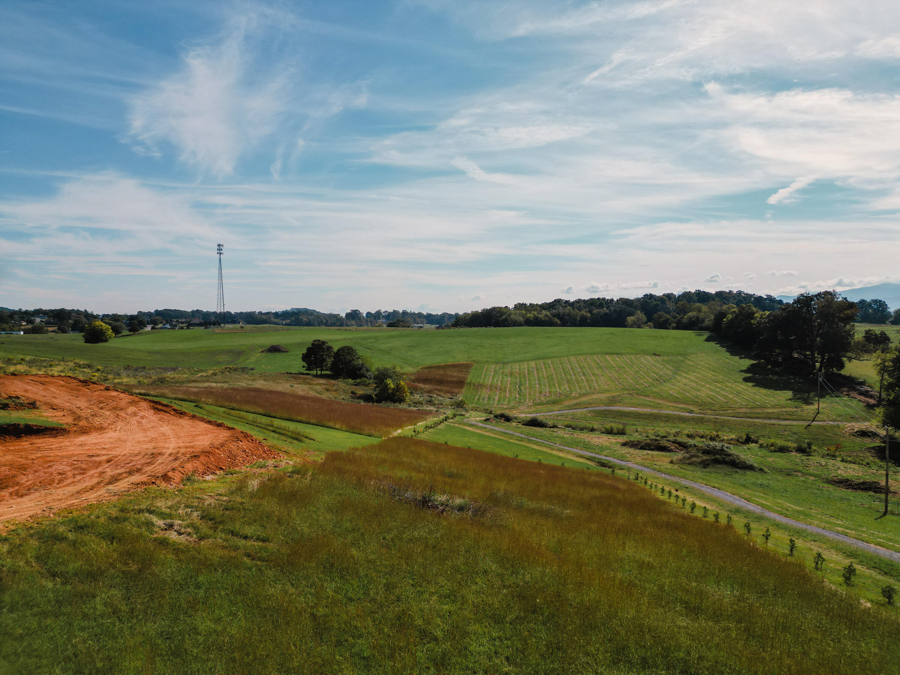 245 Browns Bridge Road Greeneville, TN 37745 - Photo 18 of 20 DanielleRickerPhotography-0318