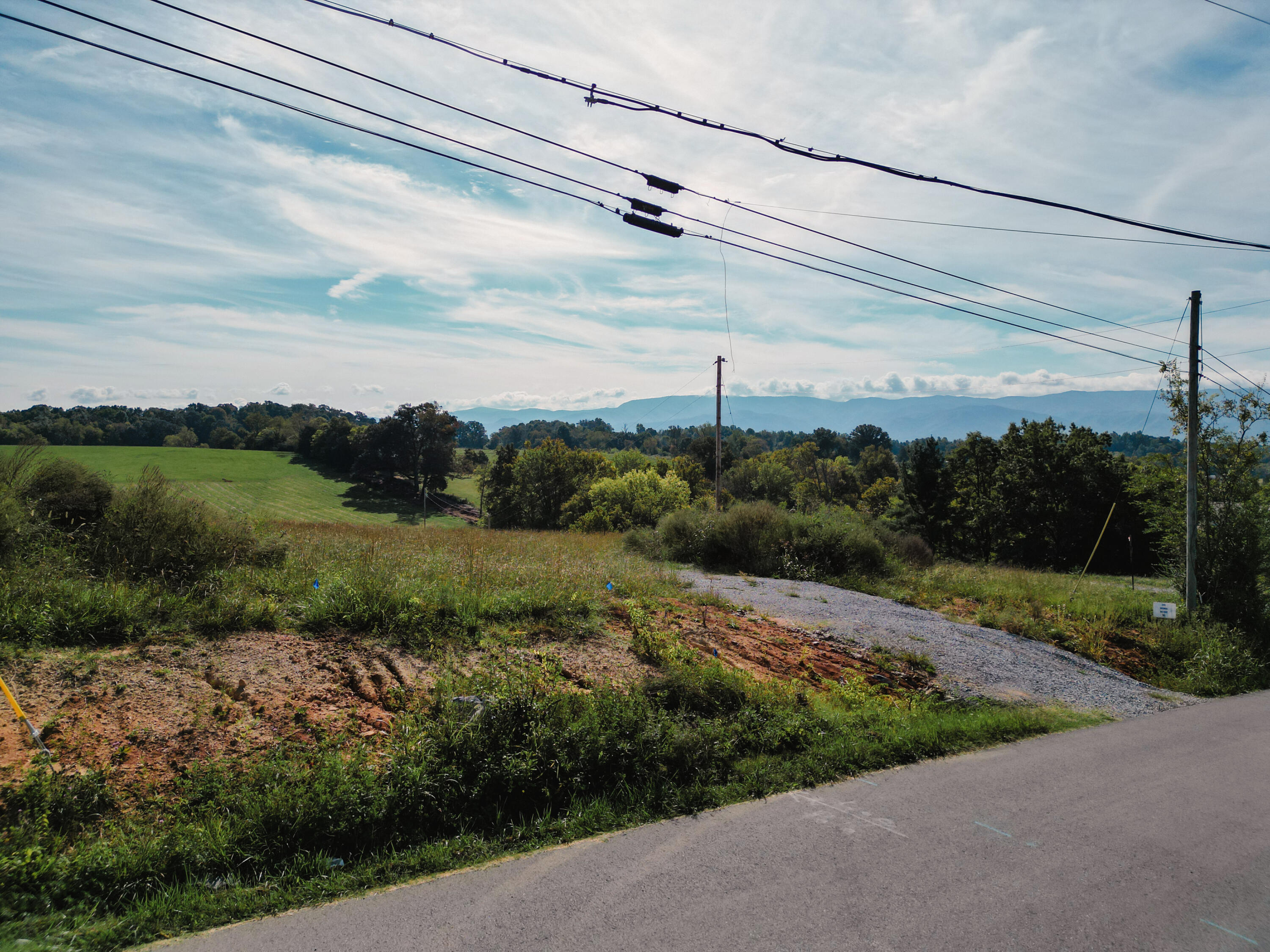 245 Browns Bridge Road Greeneville, TN 37745 - Photo 19 of 20 DanielleRickerPhotography-0319