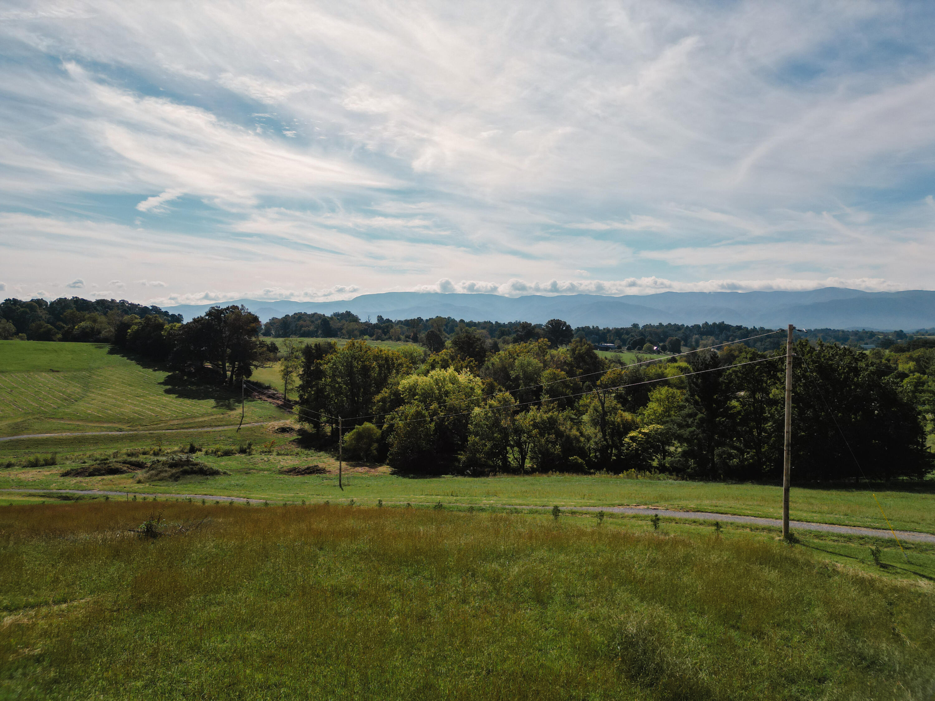245 Browns Bridge Road Greeneville, TN 37745 - Photo 2 of 20 DanielleRickerPhotography-0317