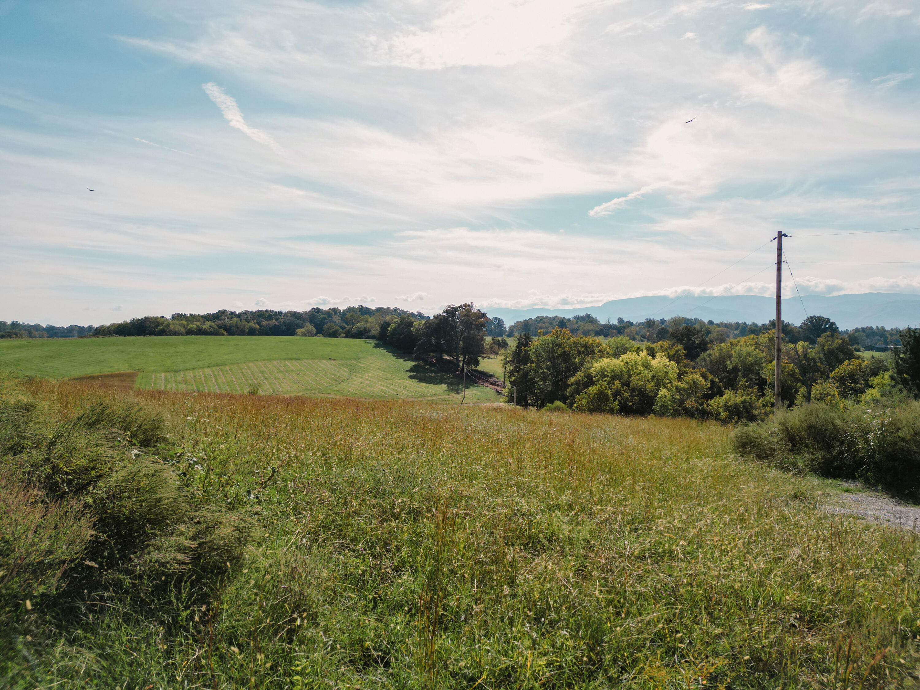 245 Browns Bridge Road Greeneville, TN 37745 - Photo 3 of 20 DanielleRickerPhotography-0301