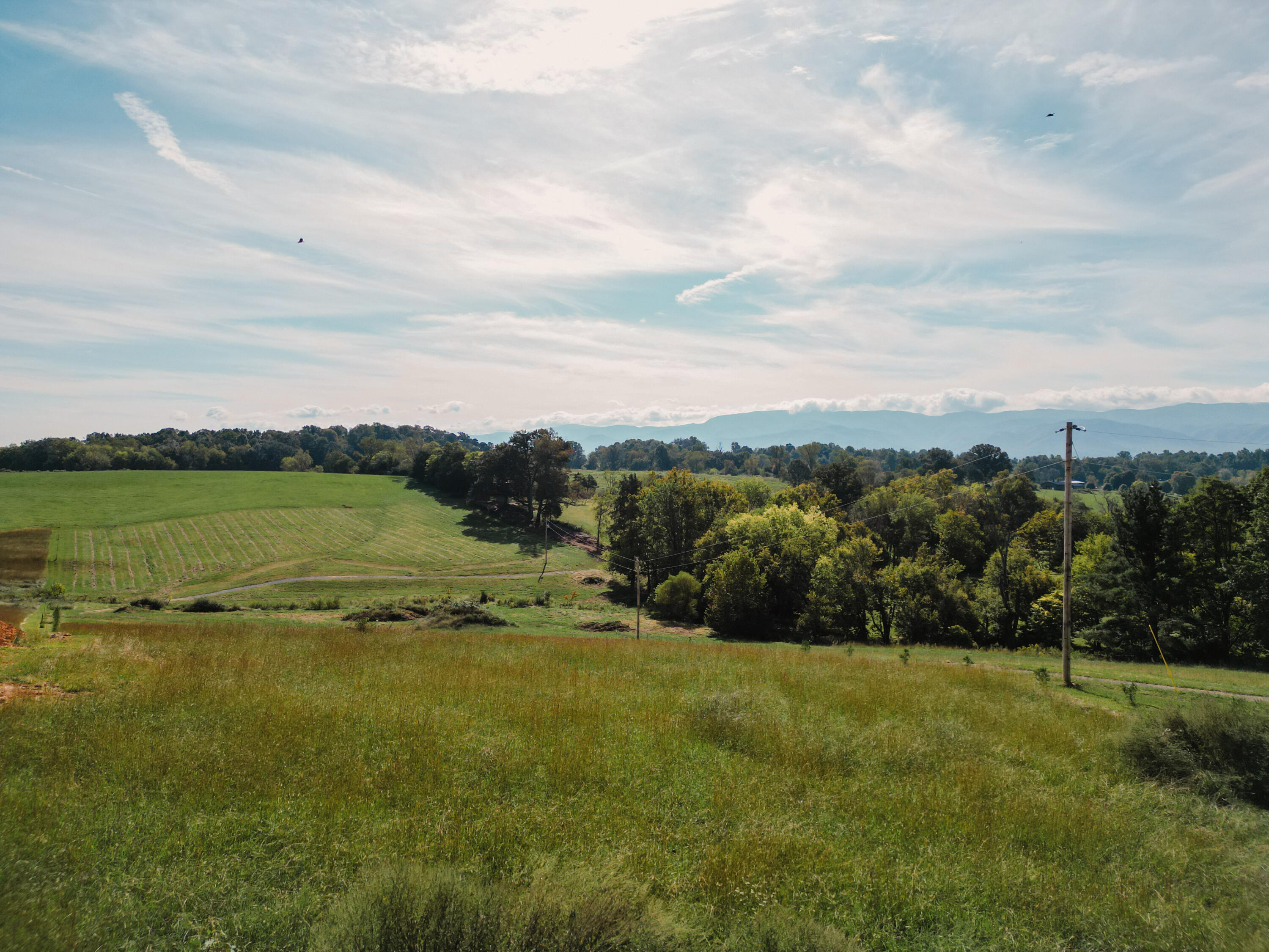 245 Browns Bridge Road Greeneville, TN 37745 - Photo 4 of 20 DanielleRickerPhotography-0302
