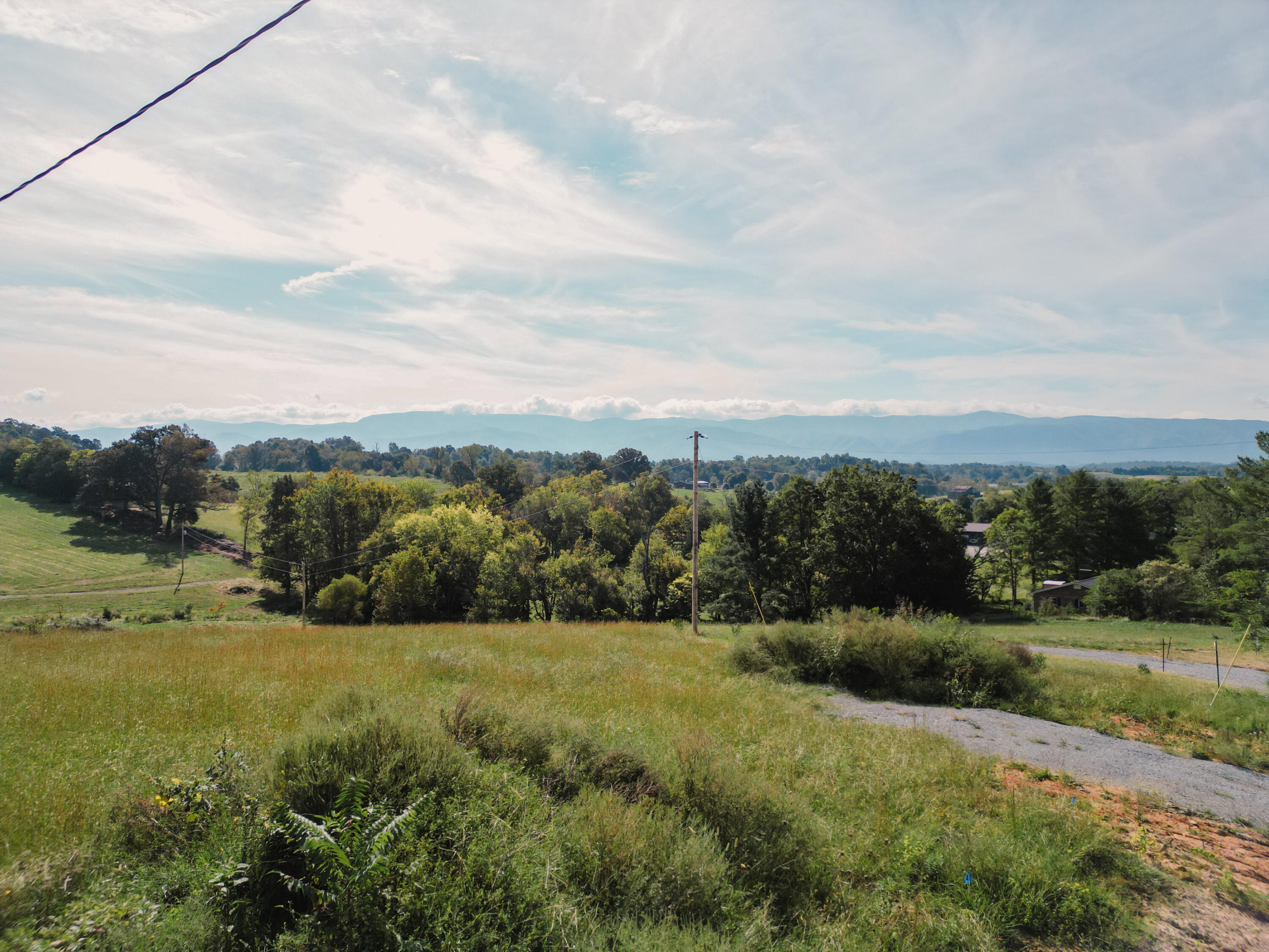 245 Browns Bridge Road Greeneville, TN 37745 - Photo 5 of 20 DanielleRickerPhotography-0303
