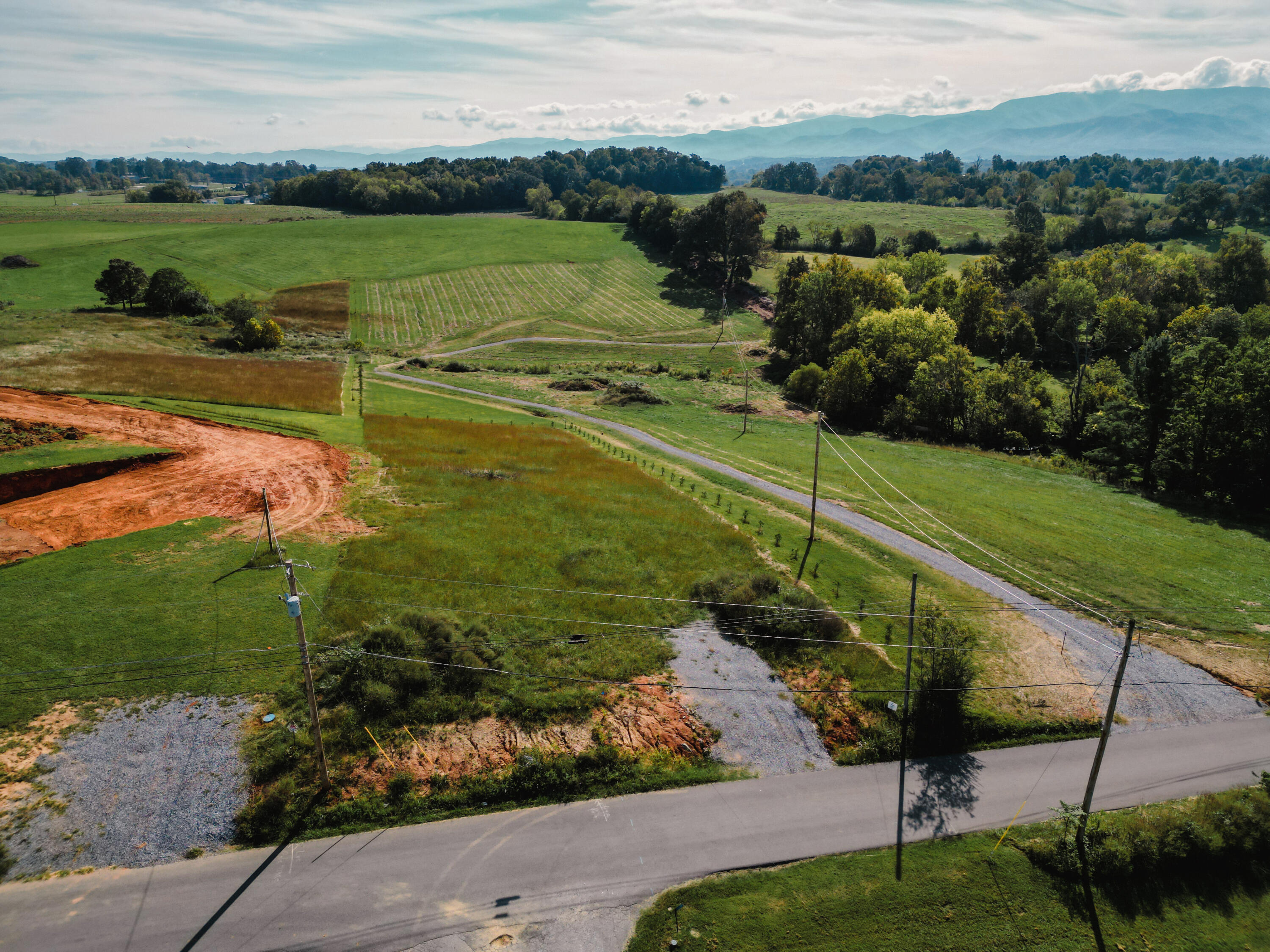 245 Browns Bridge Road Greeneville, TN 37745 - Photo 9 of 20 DanielleRickerPhotography-0307