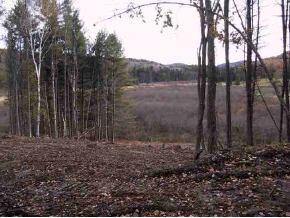 0 East Rte 121 Readsboro, VT 05350 - Photo 1 of 1
