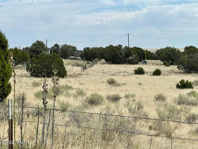 73 County Road Concho, AZ 85924 - Photo 13 of 17