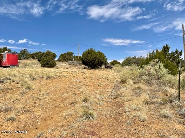 73 County Road Concho, AZ 85924 - Photo 3 of 17