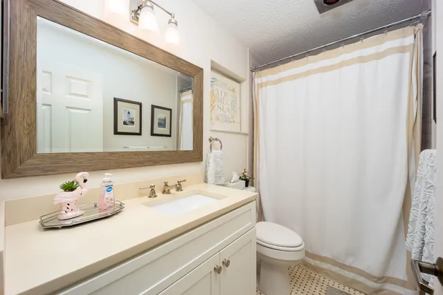 a bathroom with a sink a toilet and shower curtain