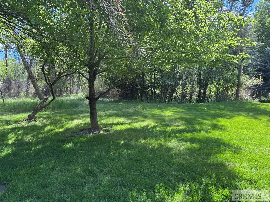 486 North 4154 East Rigby, ID 83442 - Photo 58 of 88 Backyard