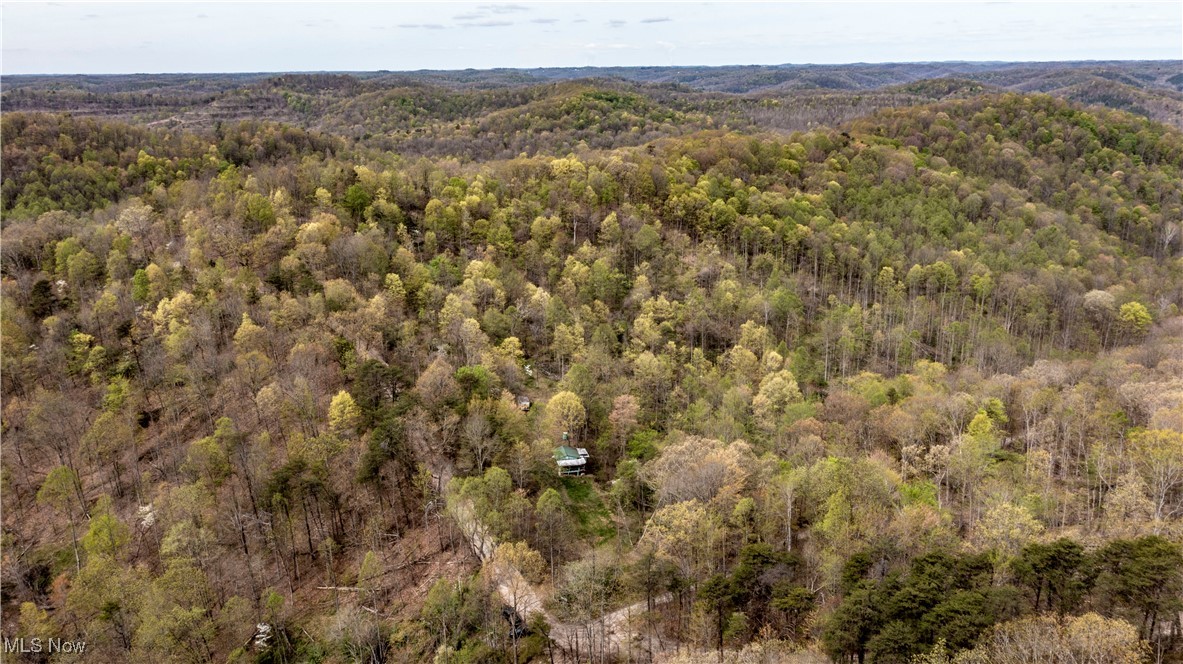 4143 Conrad Run Road Palestine, WV 26160 - Photo 2 of 10 Birds eye view of property featuring a view of trees