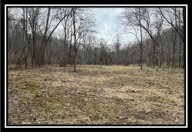 35471 Buck Run Road Langsville, OH 45741 - Photo 20 of 32