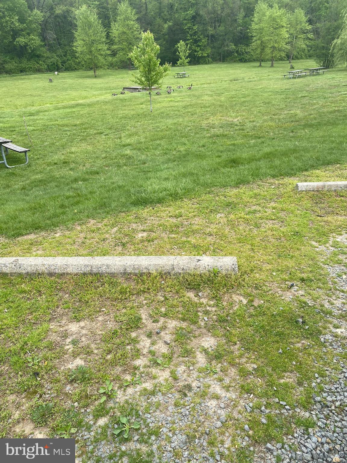 2476 Hopewell Road Elverson, PA 19520 - Photo 43 of 47 Local Park