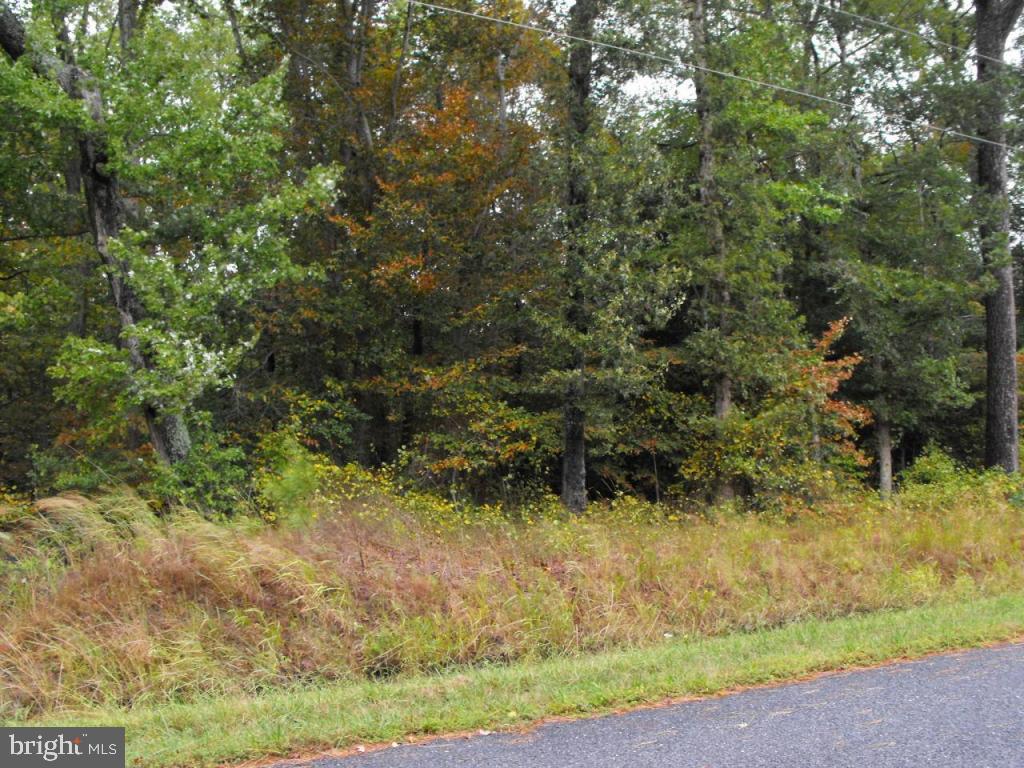 Spry Larmore Road Quantico, MD 21856 - Photo 3 of 6