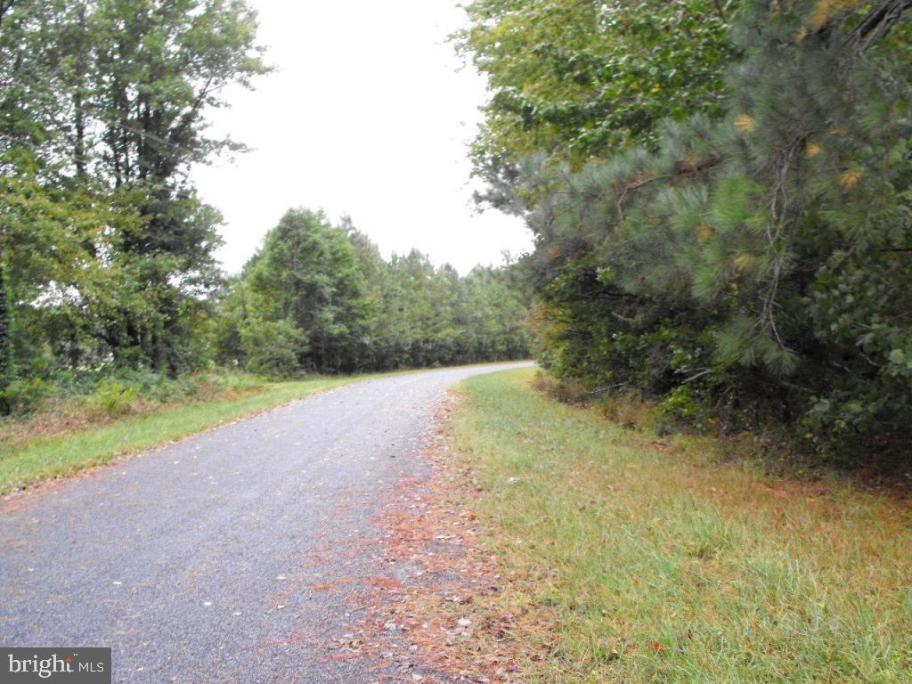 Spry Larmore Road Quantico, MD 21856 - Photo 5 of 6