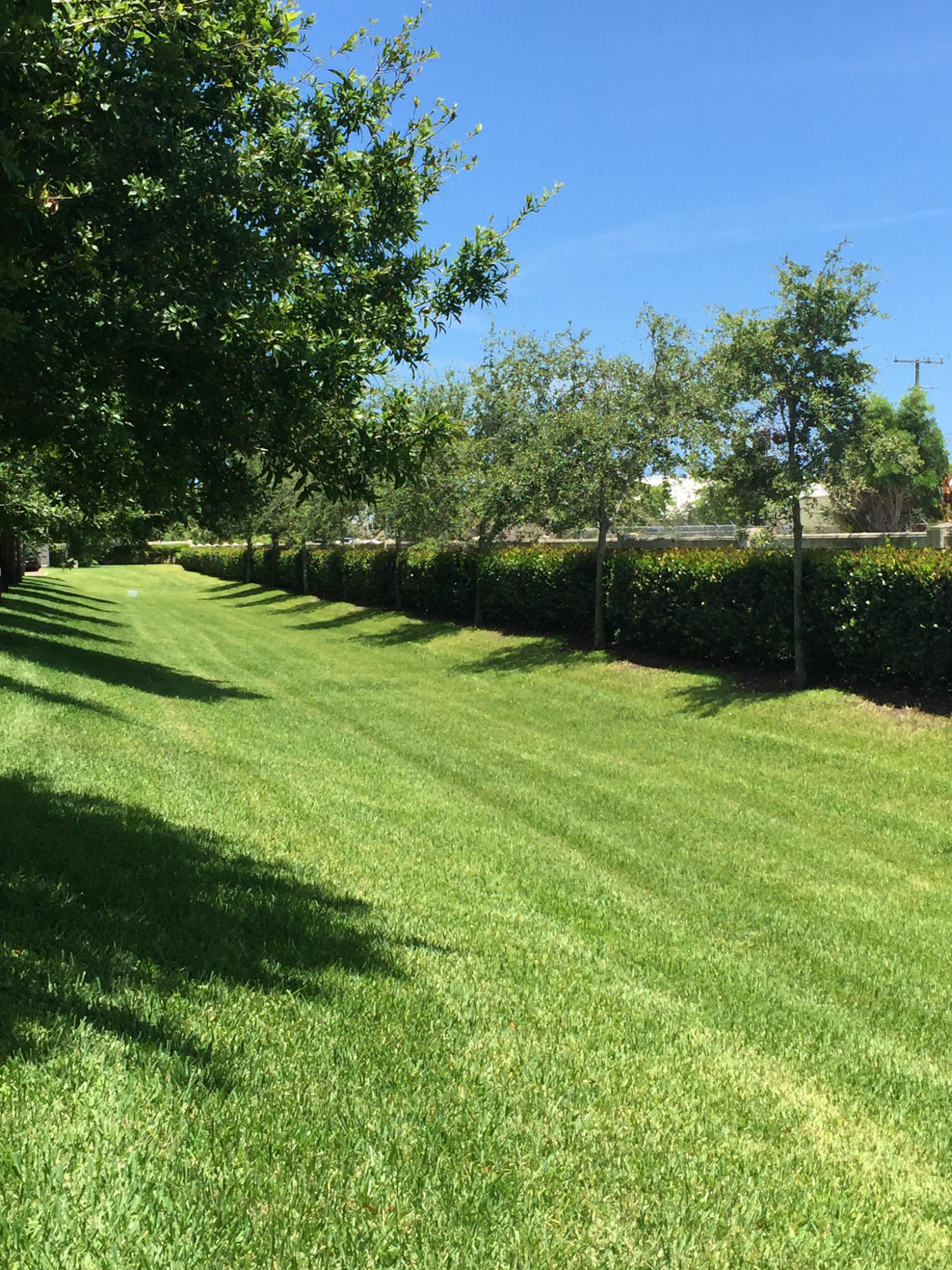 44 Lancaster Road Boynton Beach, FL 33426 - Photo 10 of 28 back yard