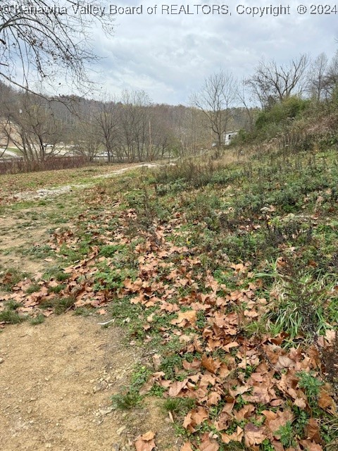 55 Stowers Road Griffithsville, WV 25521 - Photo 5 of 19 Gallery Image 5