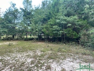 0 Lagoon Road Statesboro, GA 30461 - Photo 3 of 3 Back of lot