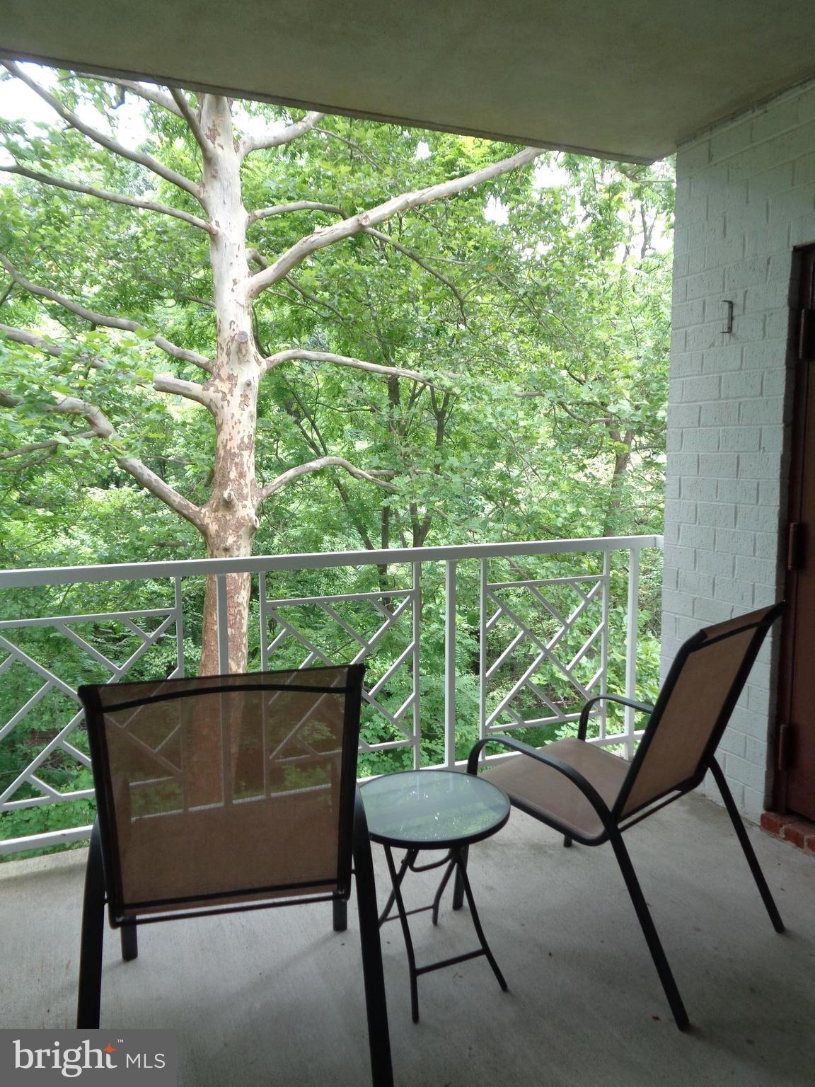104 Castletown Road, Unit 202 Lutherville-Timonium, MD 21093 - Photo 21 of 23 Sit on your back porch and enjoy trees and animals