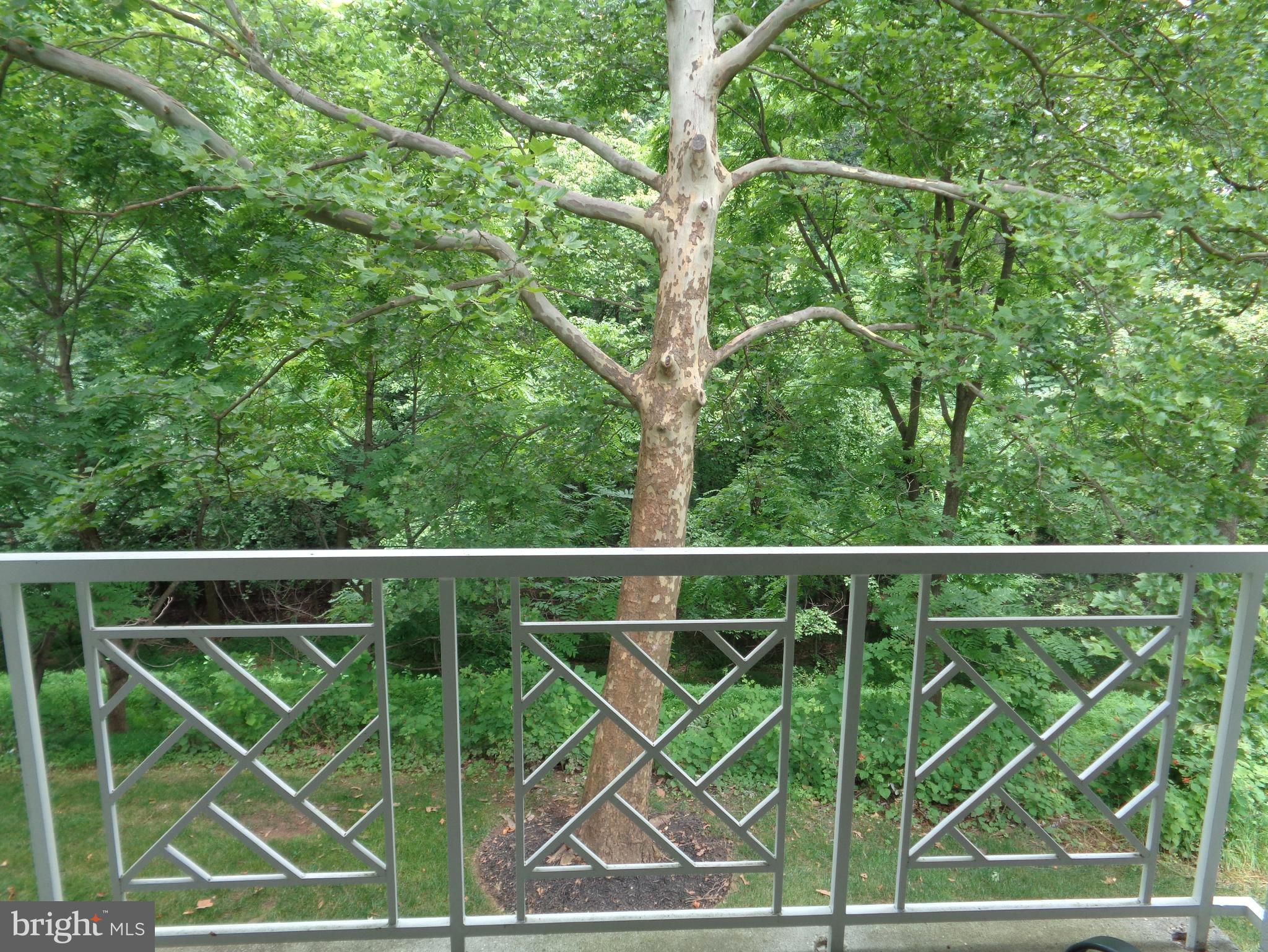 104 Castletown Road, Unit 202 Lutherville-Timonium, MD 21093 - Photo 22 of 23 Keep your eyes out for Rabbits and Deer!!!