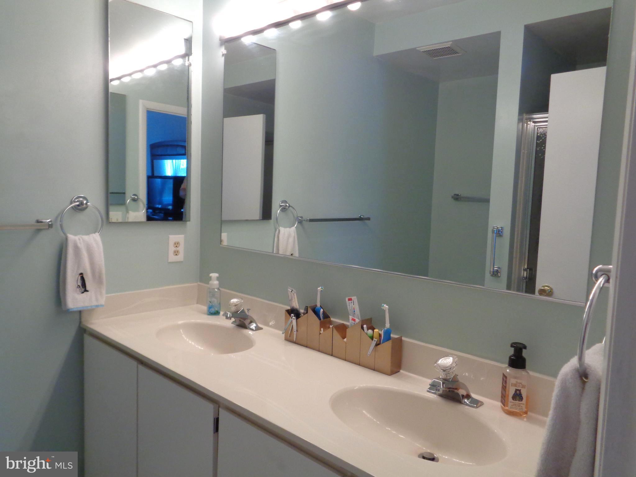 104 Castletown Road, Unit 202 Lutherville-Timonium, MD 21093 - Photo 10 of 23 Double Vanity in the Master Bathroom