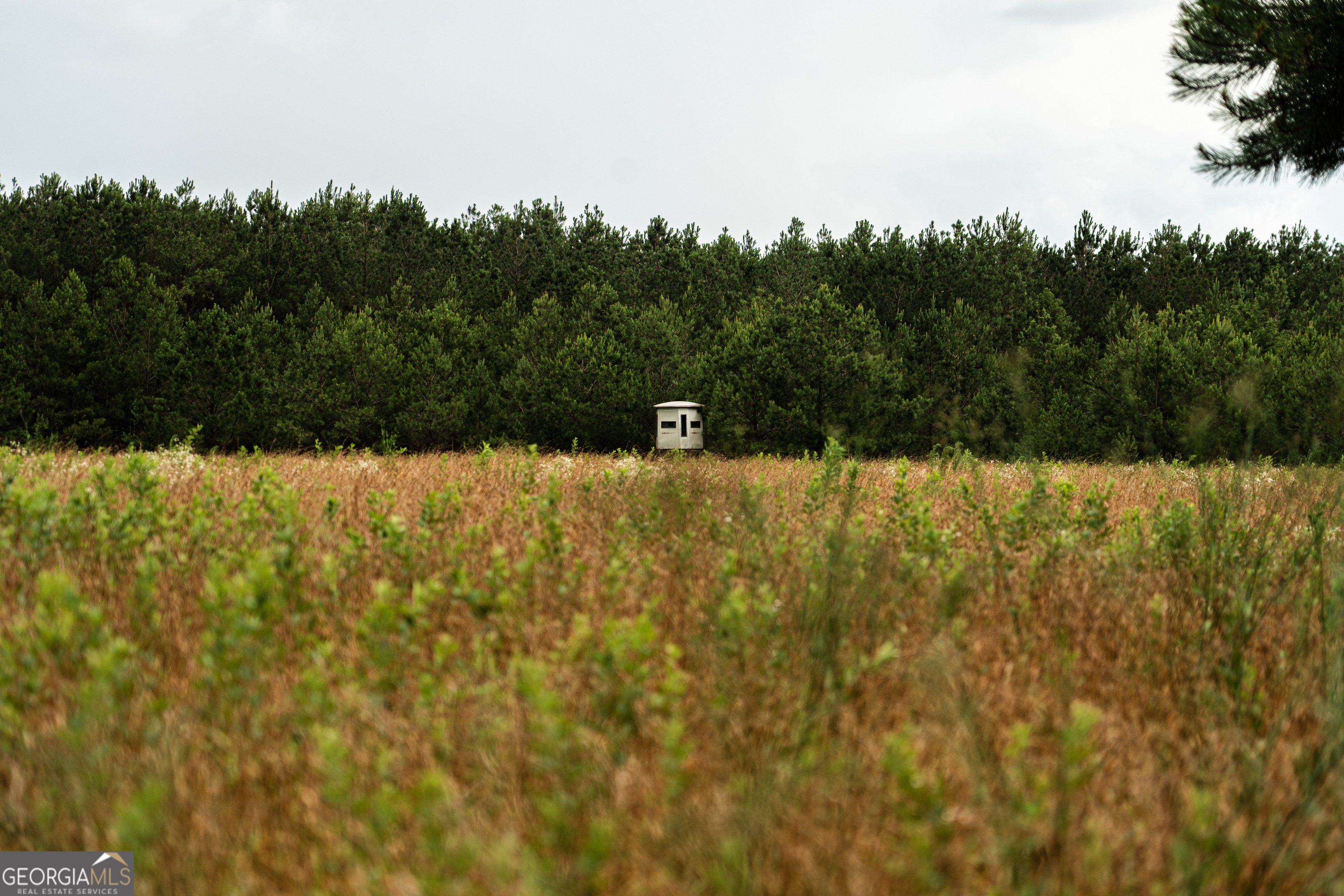 990 Highway 49 Americus, GA 31719 - Photo 41 of 121