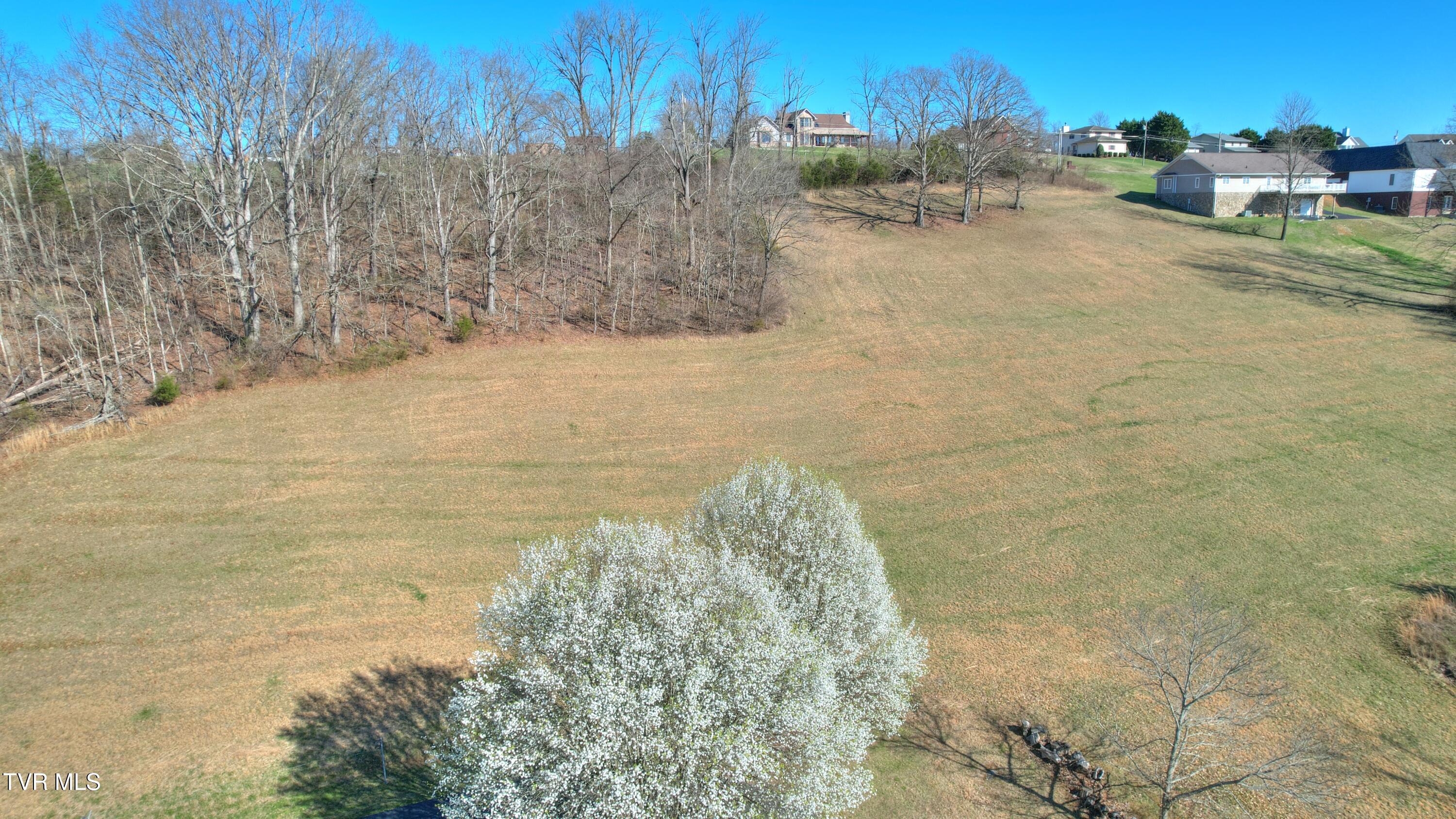 315 Cedar Creek Road Gray, TN 37615 - Photo 3 of 30 DJI_0250_1_2
