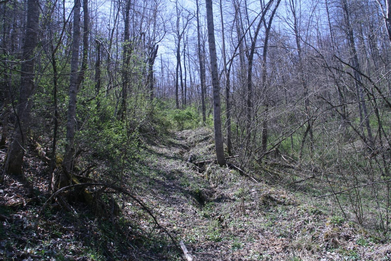 956 Kelse Holland Road Campton, KY 41301 - Photo 29 of 69 Photo 54