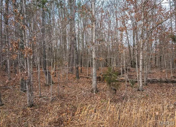 $45,000 | 11.09-acres 11.09-acres Broken Arrow Trail, Raymondville, MO 65555