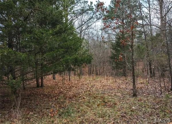 $45,000 | 11.09-acres 11.09-acres Broken Arrow Trail, Raymondville, MO 65555