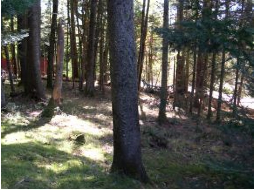 2129 Upton Road Errol, NH 03579 - Photo 6 of 9