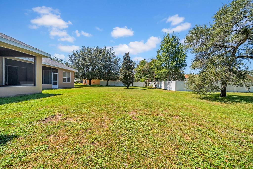 10177 Deer Street Spring Hill, FL 34608 - Photo 65 of 73 a view of a house with a big yard and palm trees