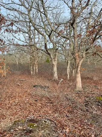 $799,000 | 22 Bramble Path, West Tisbury, MA 02568