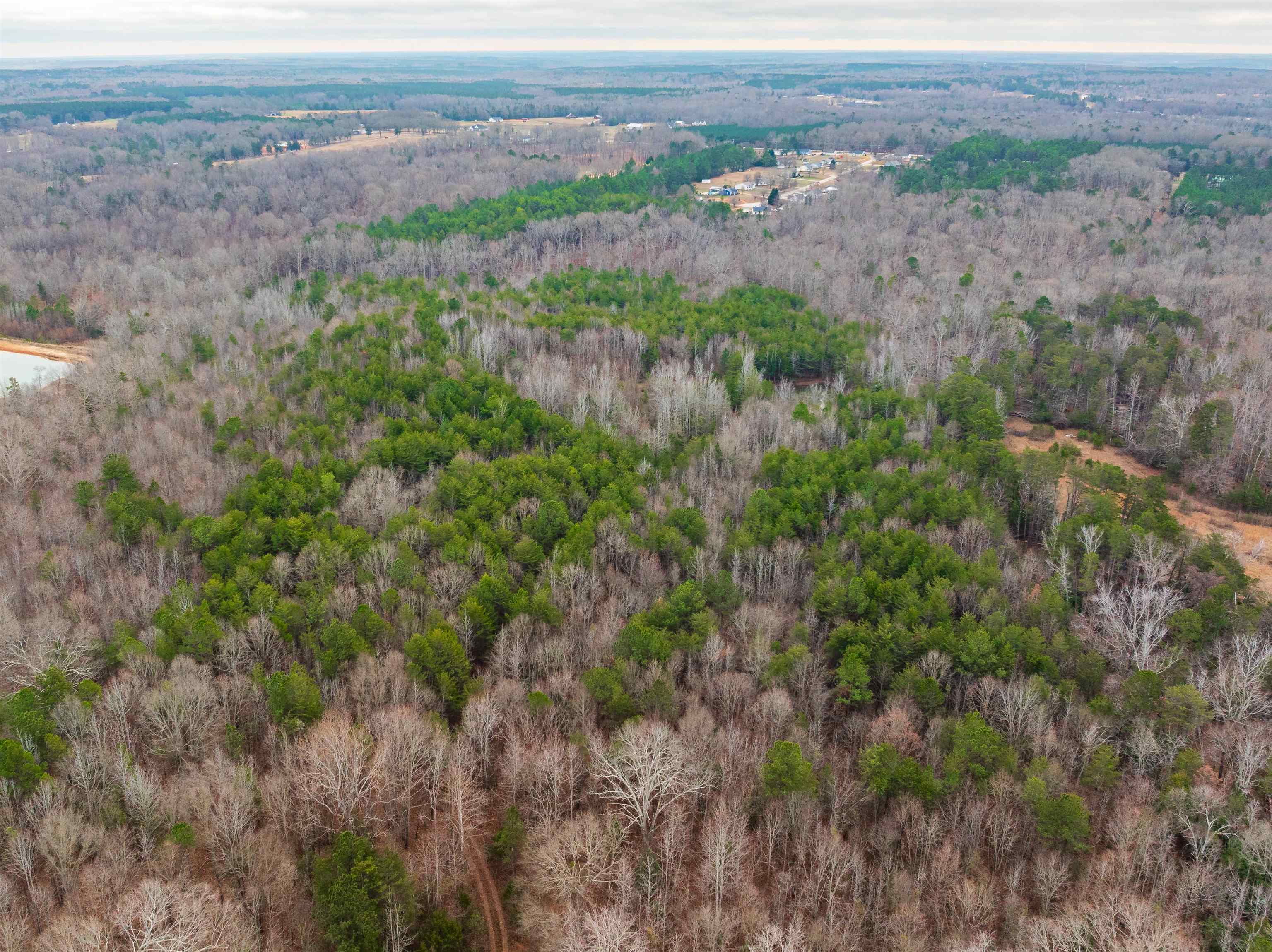 1611 Stewart Road Enoree, SC 29335 - Photo 13 of 31