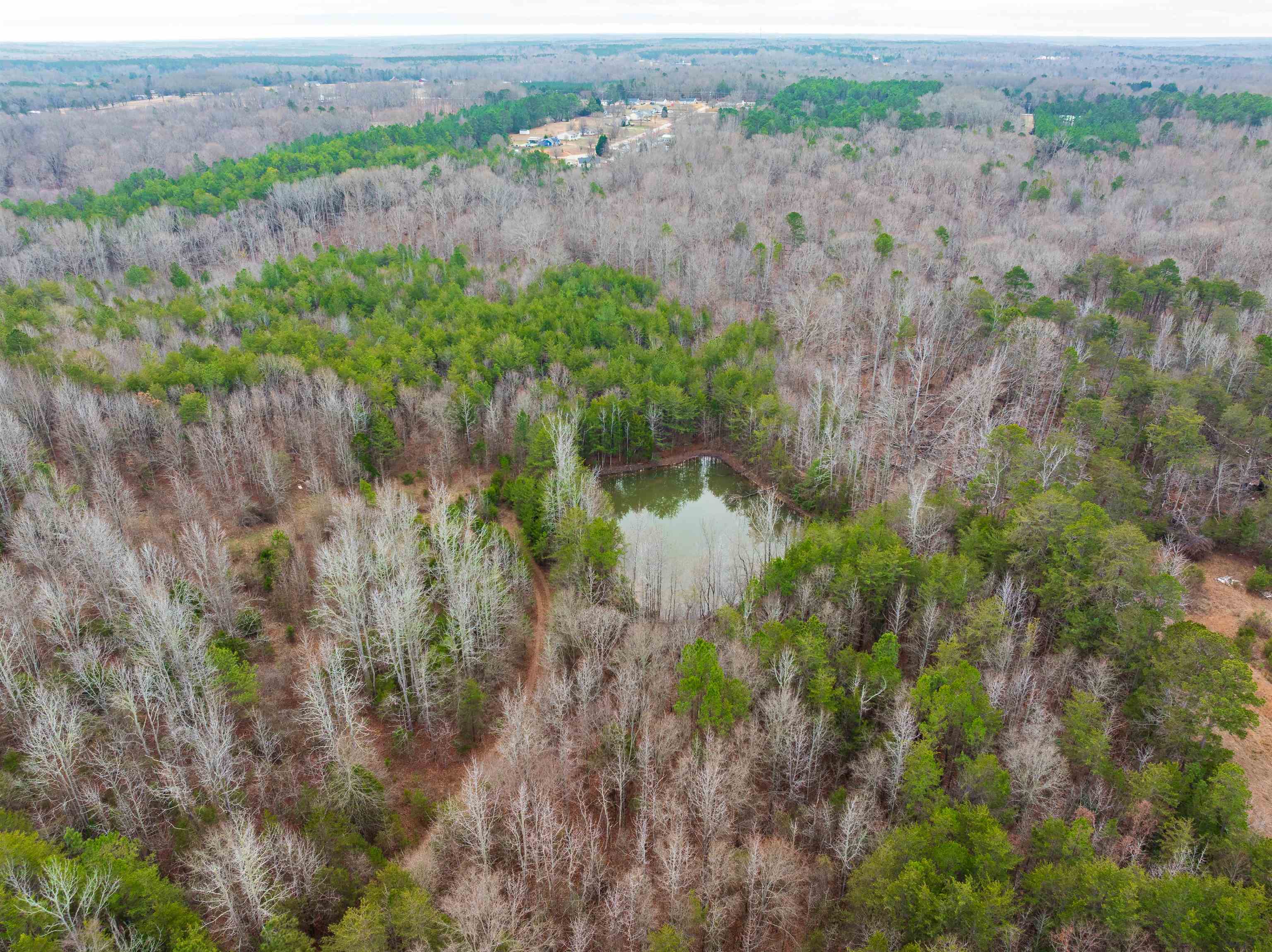 1611 Stewart Road Enoree, SC 29335 - Photo 14 of 31