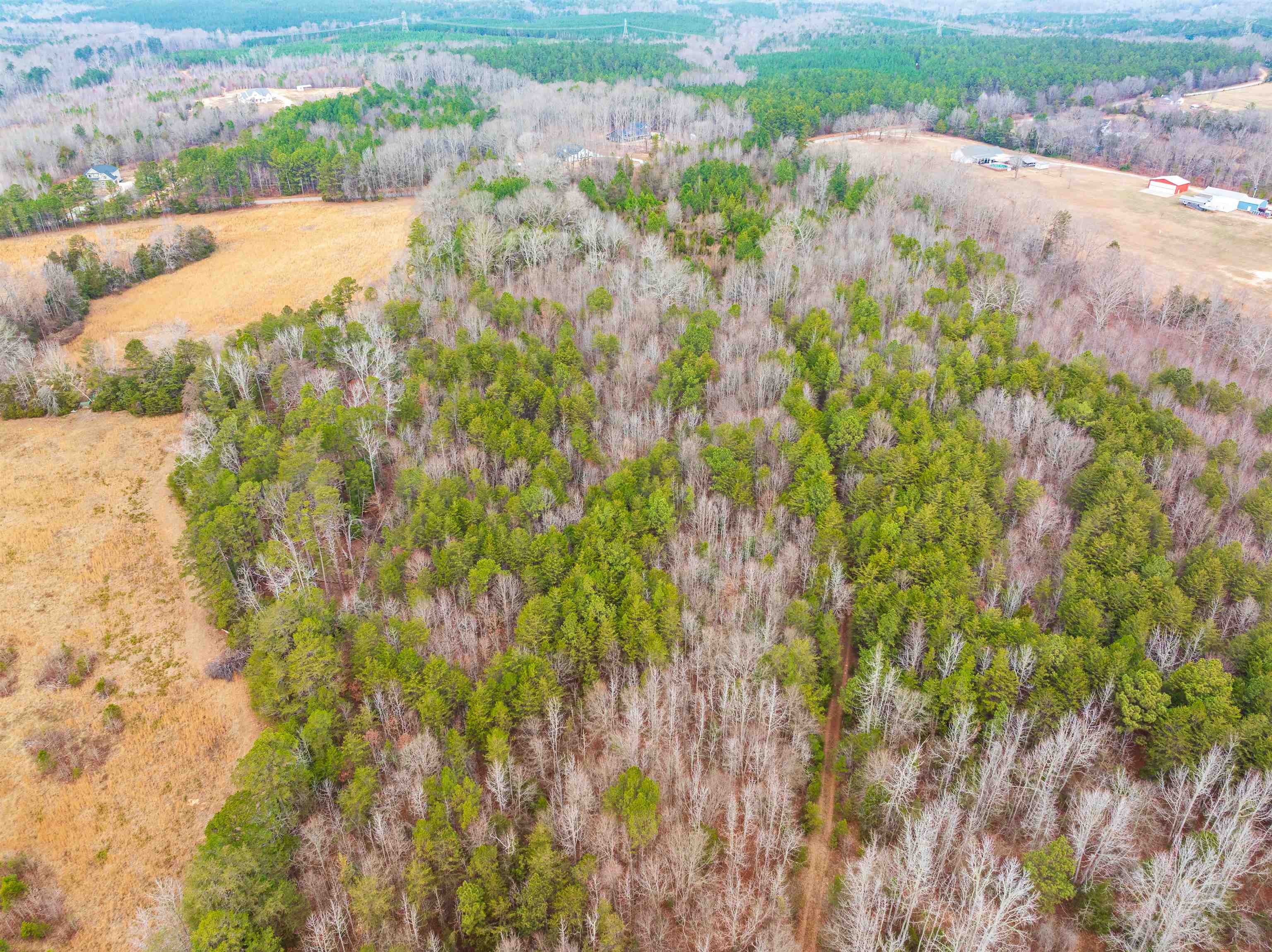 1611 Stewart Road Enoree, SC 29335 - Photo 19 of 31
