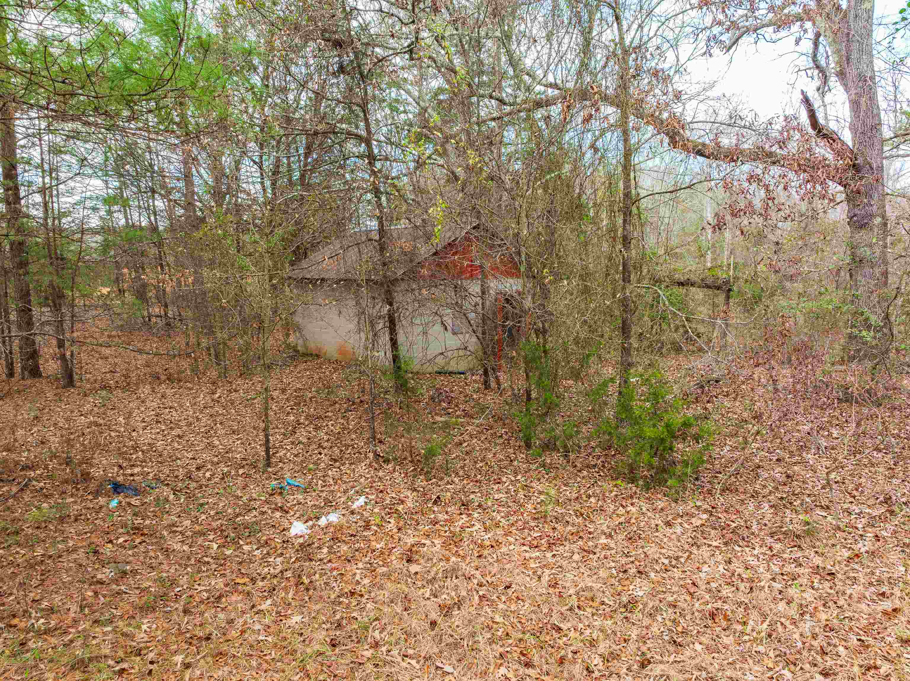 1611 Stewart Road Enoree, SC 29335 - Photo 2 of 31