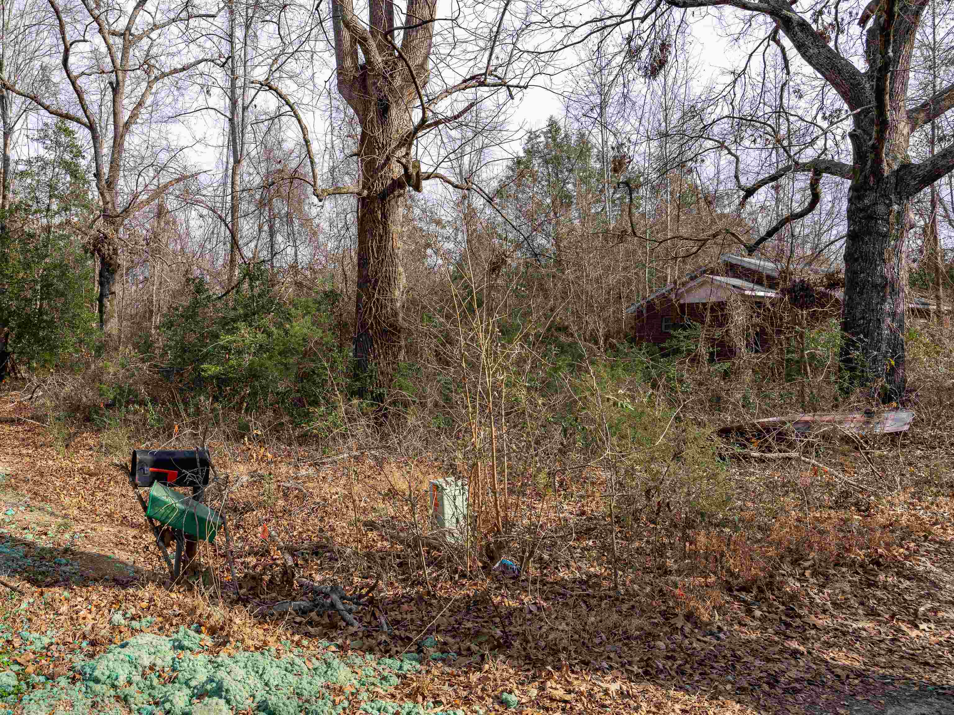 1611 Stewart Road Enoree, SC 29335 - Photo 29 of 31