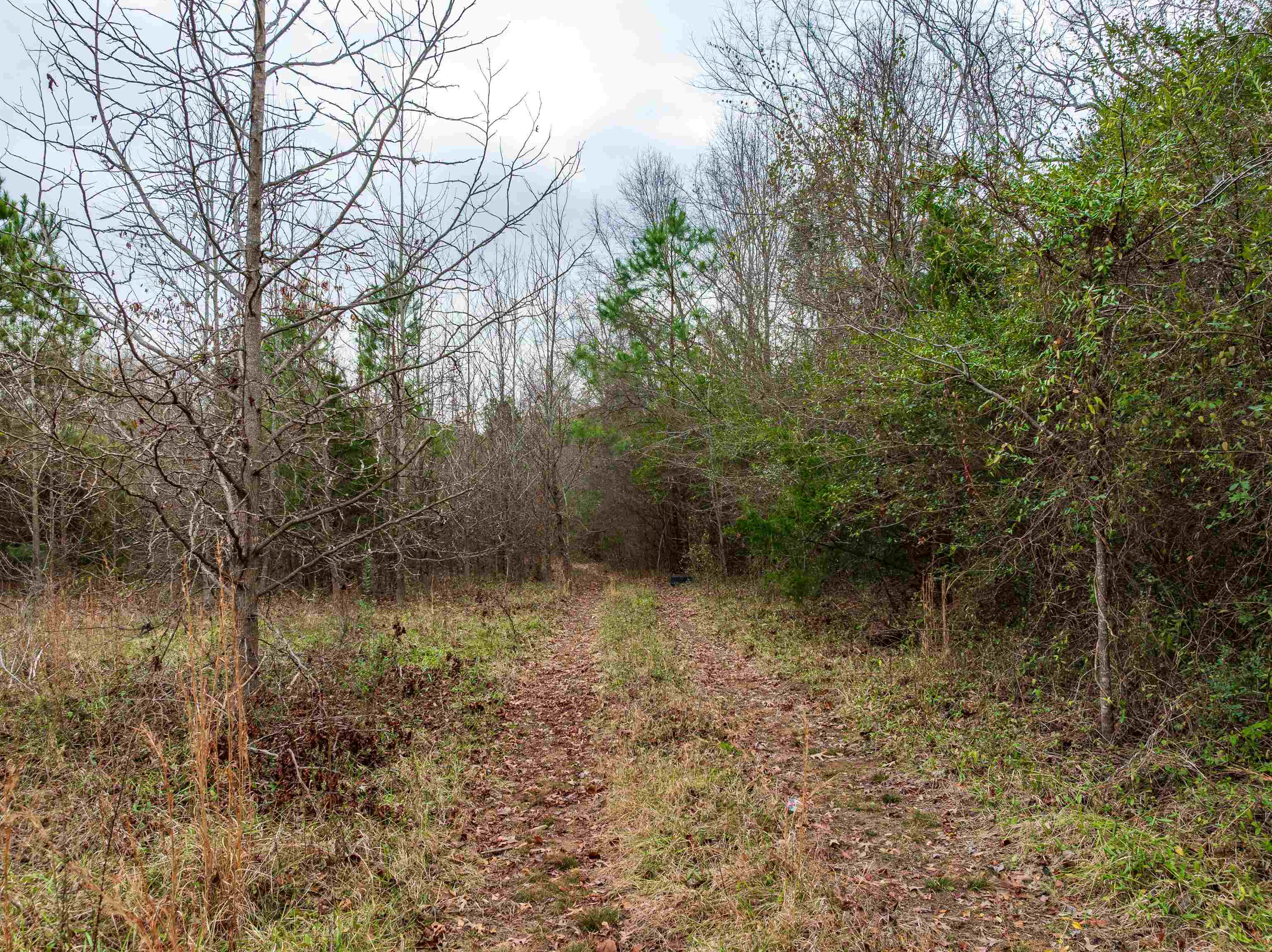 1611 Stewart Road Enoree, SC 29335 - Photo 3 of 31