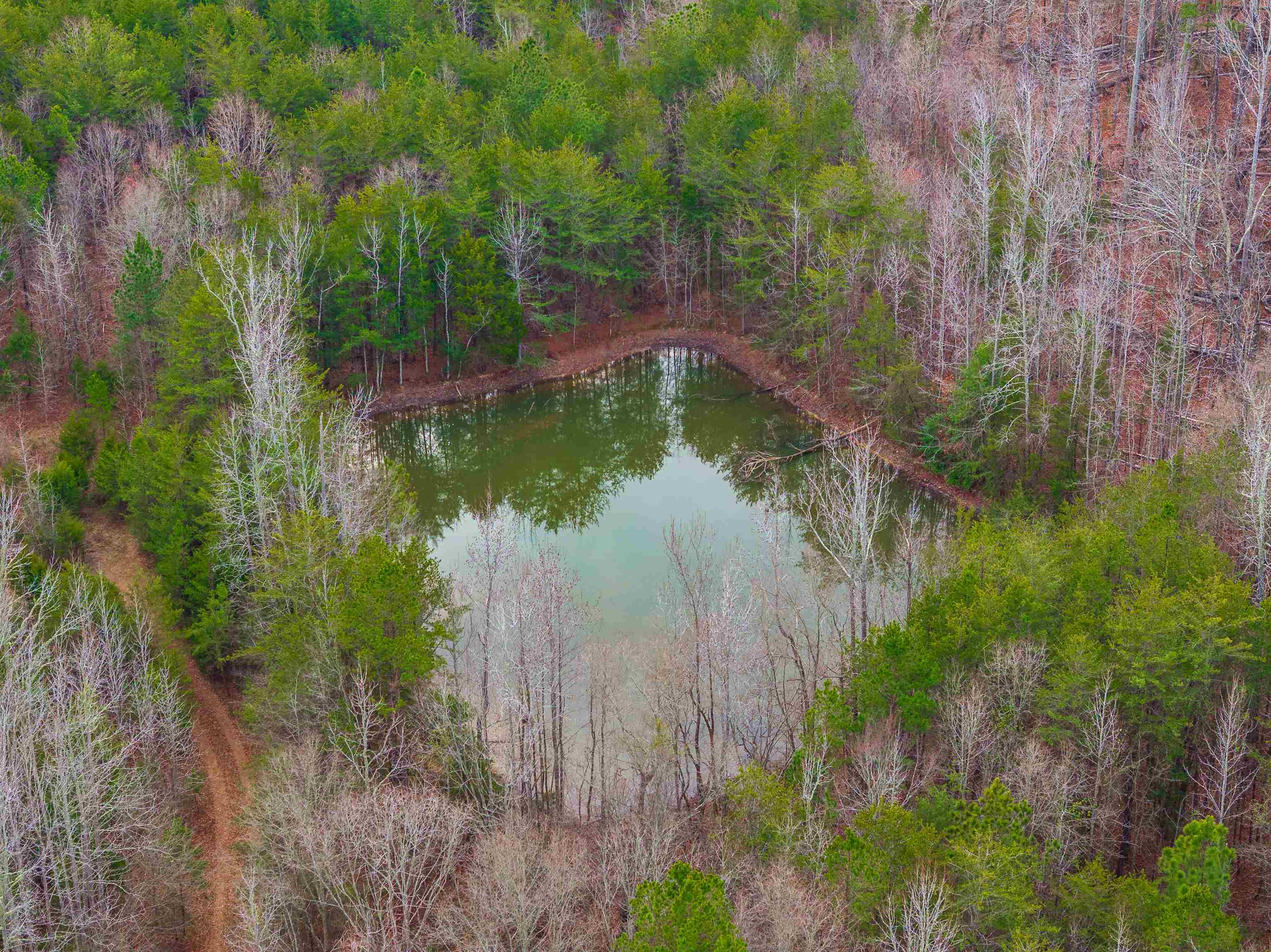 1611 Stewart Road Enoree, SC 29335 - Photo 4 of 31