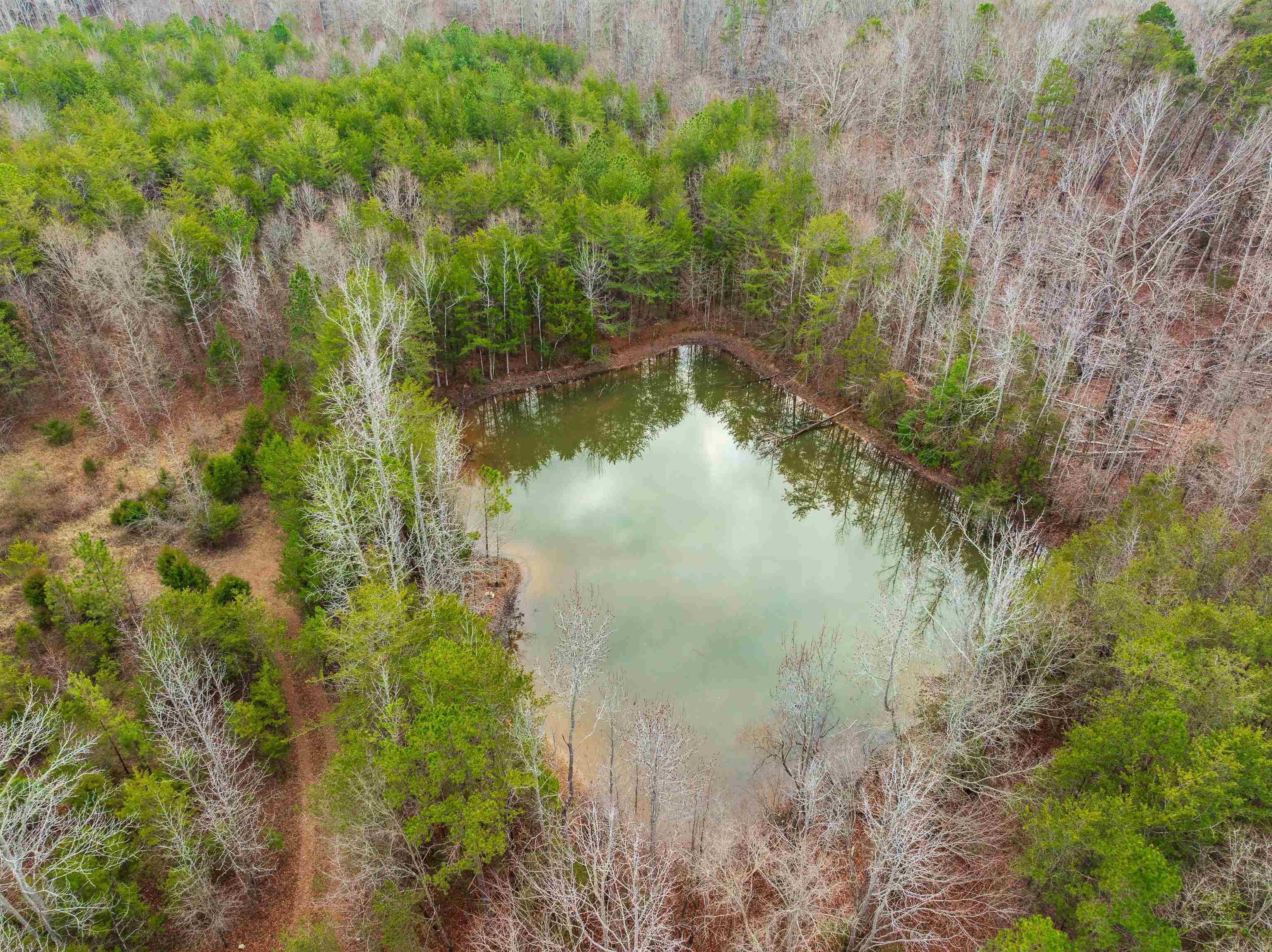 1611 Stewart Road Enoree, SC 29335 - Photo 5 of 31