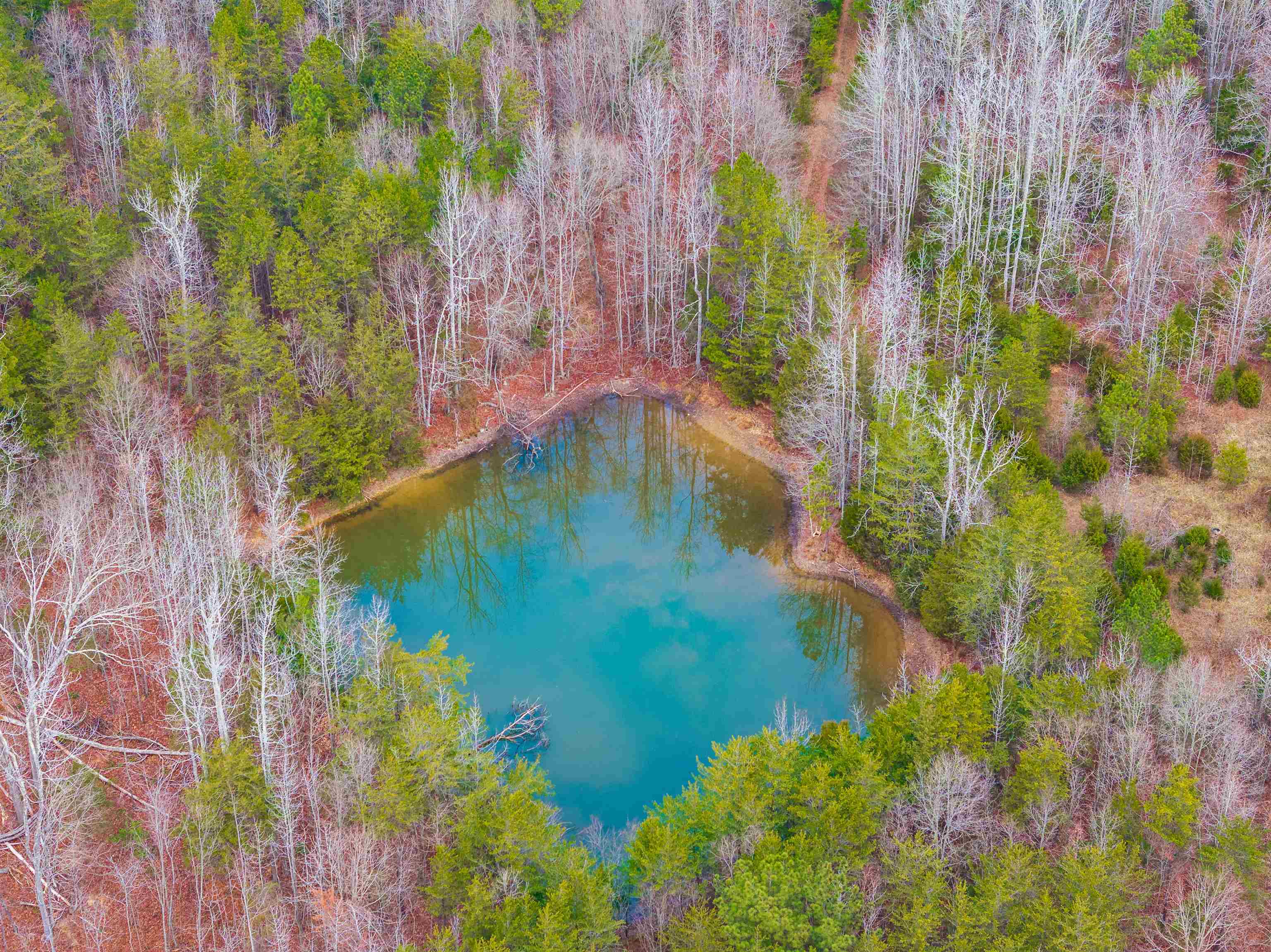 1611 Stewart Road Enoree, SC 29335 - Photo 6 of 31