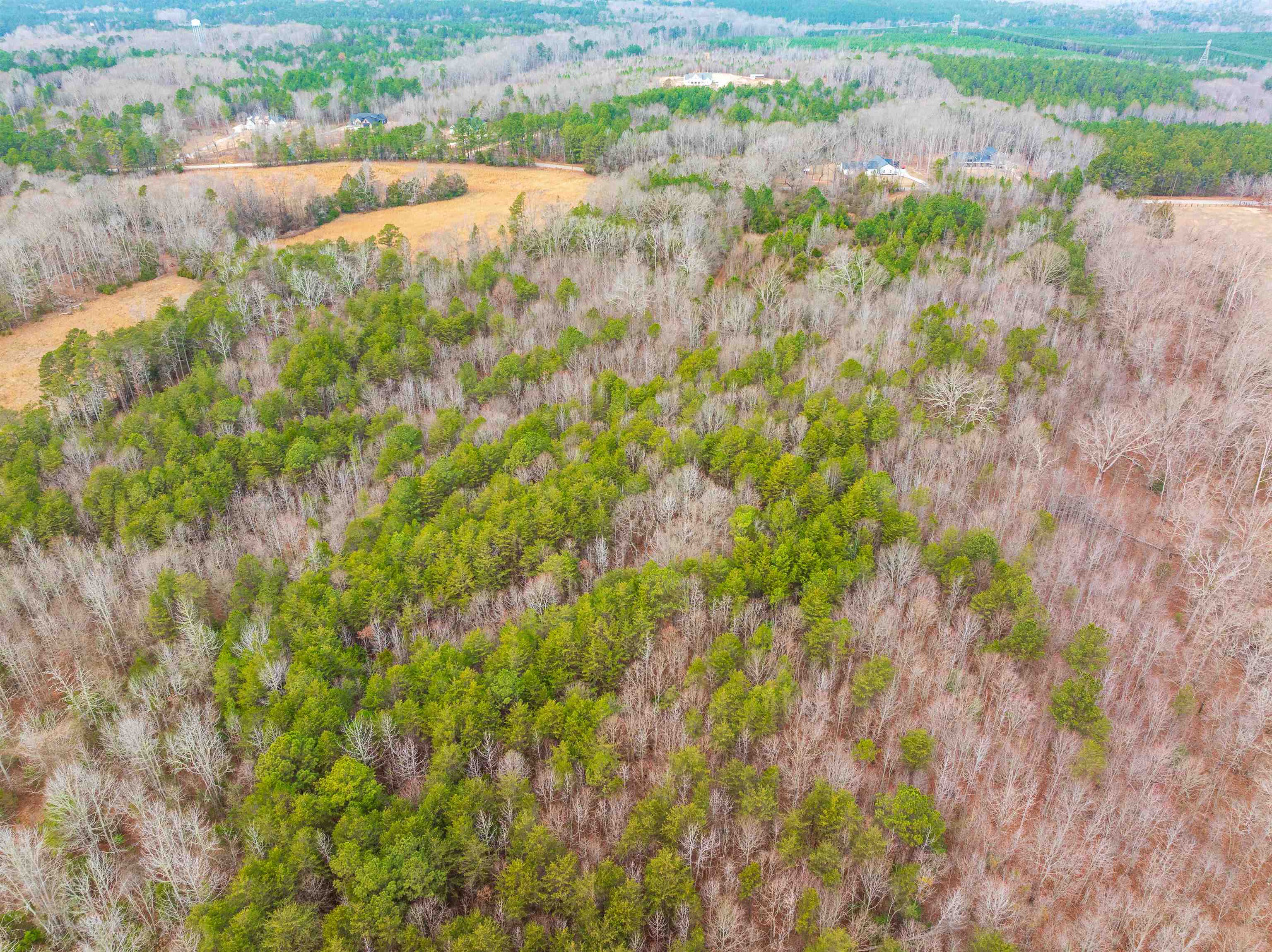 1611 Stewart Road Enoree, SC 29335 - Photo 8 of 31