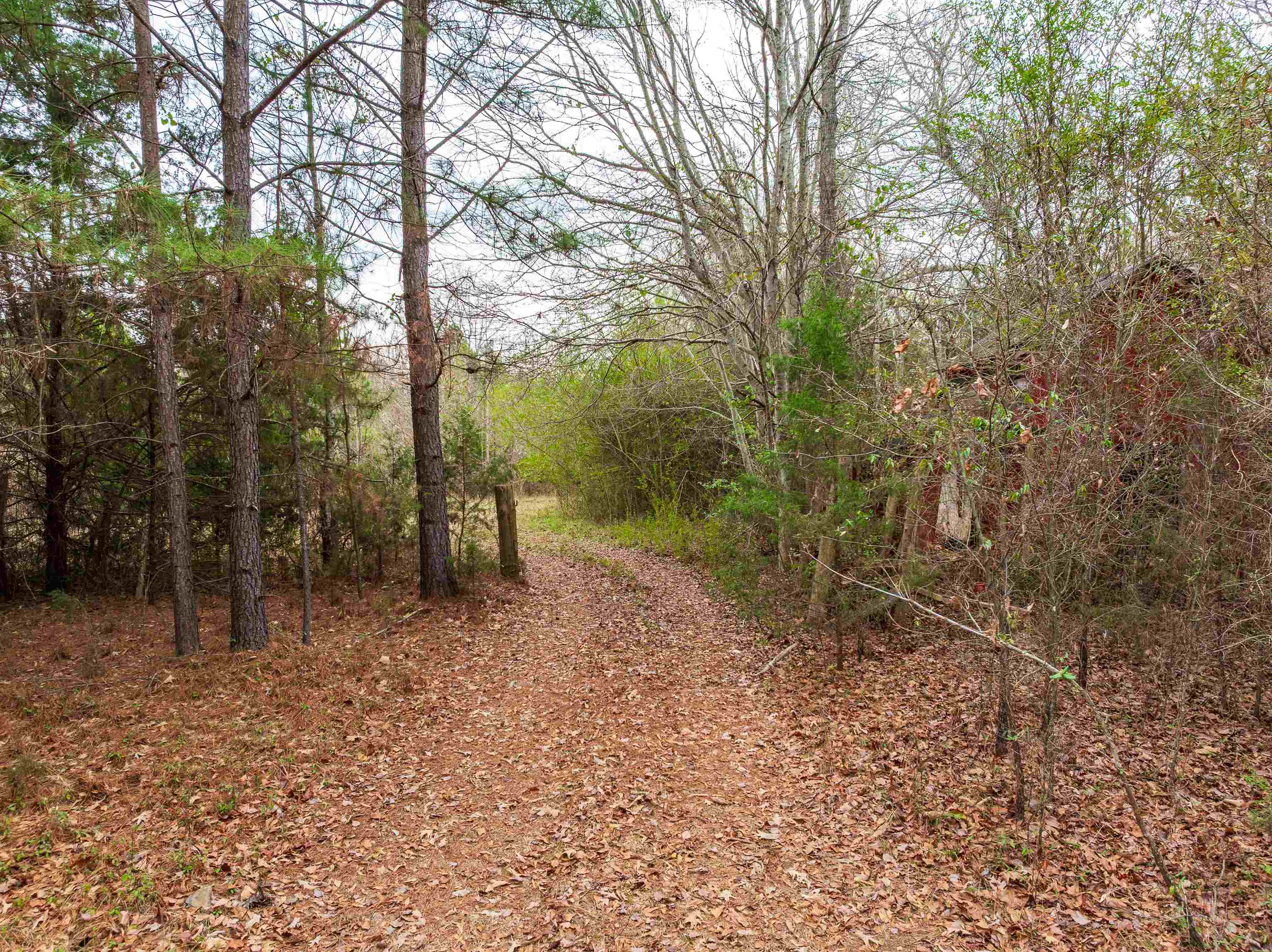1611 Stewart Road Enoree, SC 29335 - Photo 10 of 31
