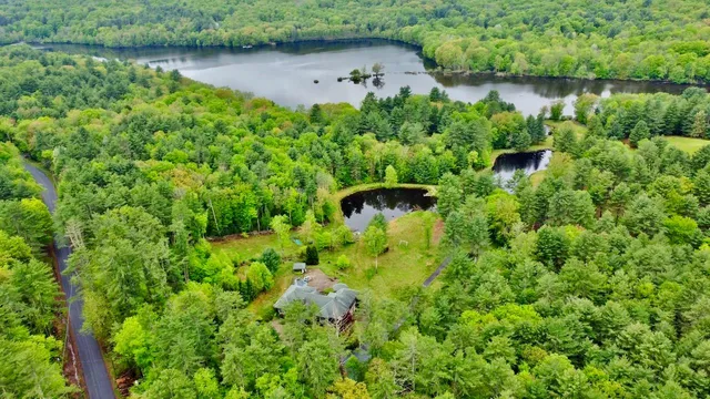 a view of a garden with a lake