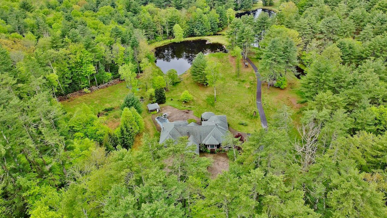 935 Starlight Road Monticello, NY 12701 - Photo 4 of 50 a view of a lush green forest with large trees