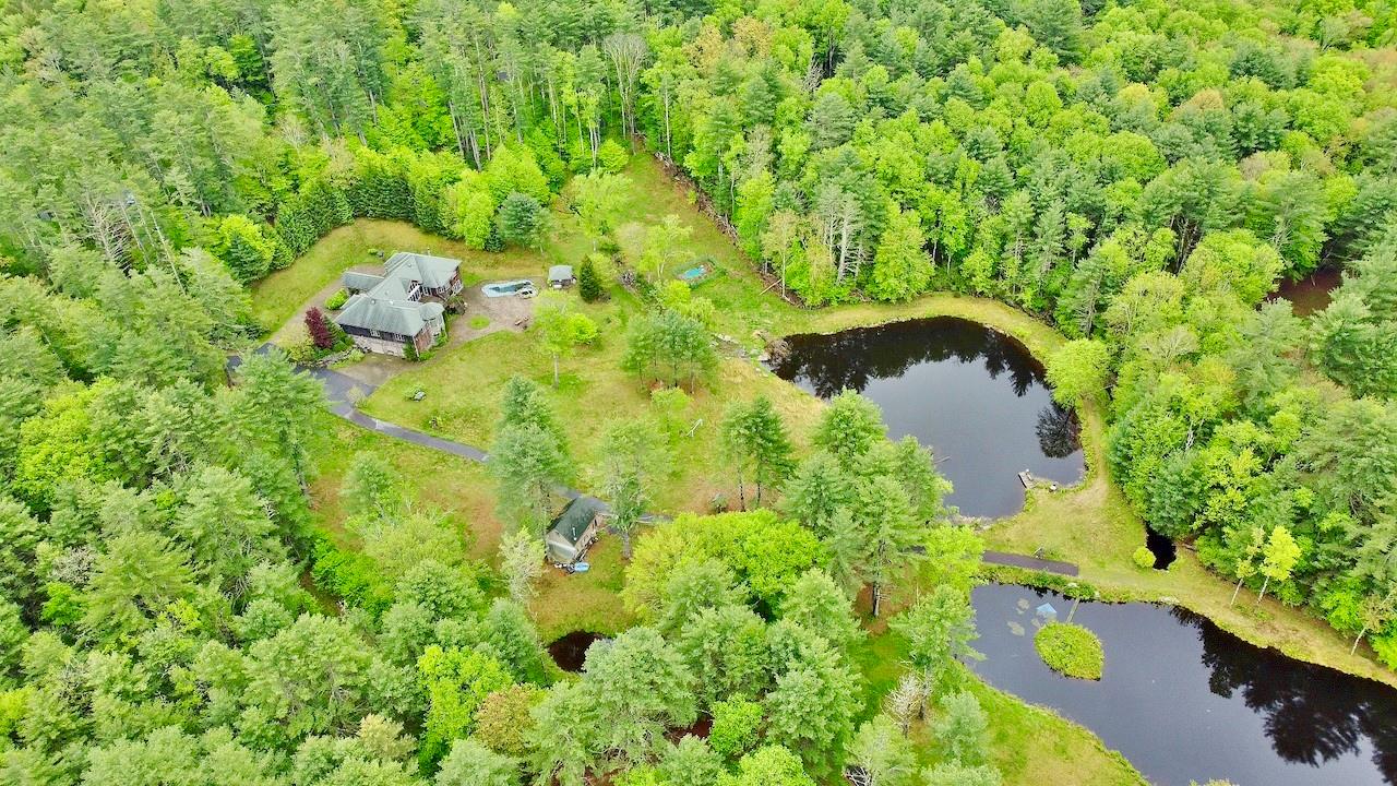 935 Starlight Road Monticello, NY 12701 - Photo 6 of 50 a close up of a garden